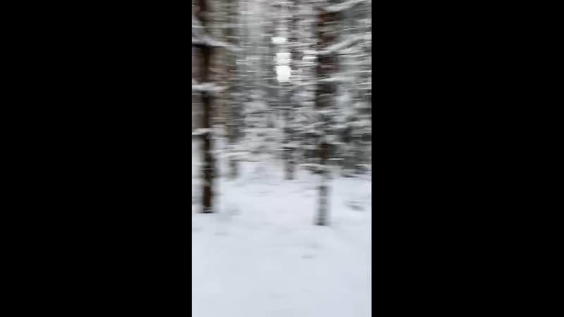 Катаемся в лесочке