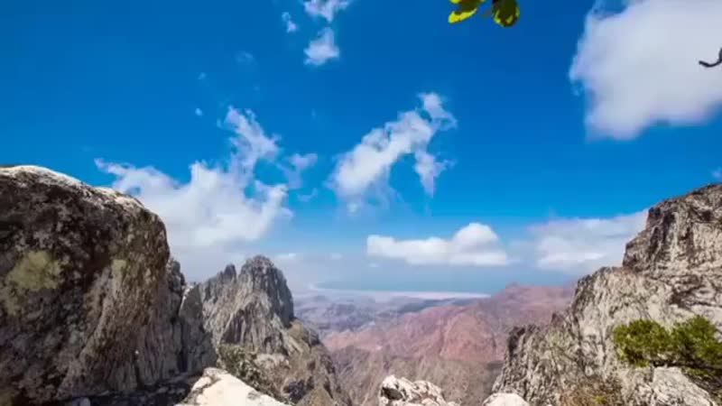 Socotra island, yemen ye جزيرة سقطرى، اليمن ❀ ( 360 x 640 ) mp4