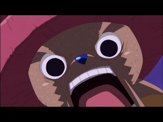 One piece \ funny moment! zoro, robin, franky, sanji, chopper, usopp and tactics 15
