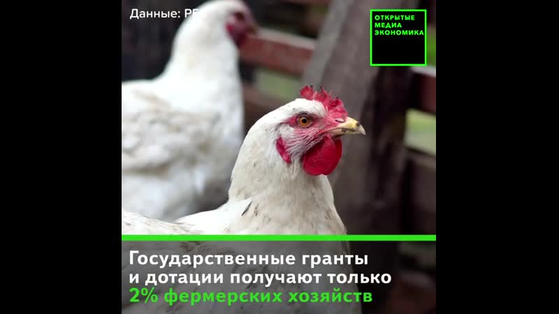 Бунт фермеров как это было в голландии и в россии