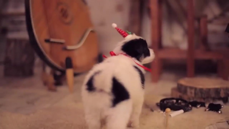 Группа "шпилясті кобзарі" перепели "jingle bells" на украинский язык