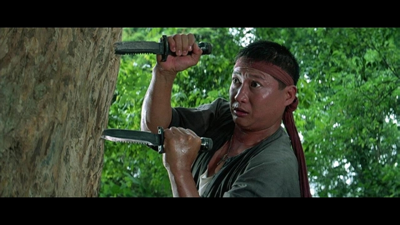 1987 восточные кондоры / eastern condors