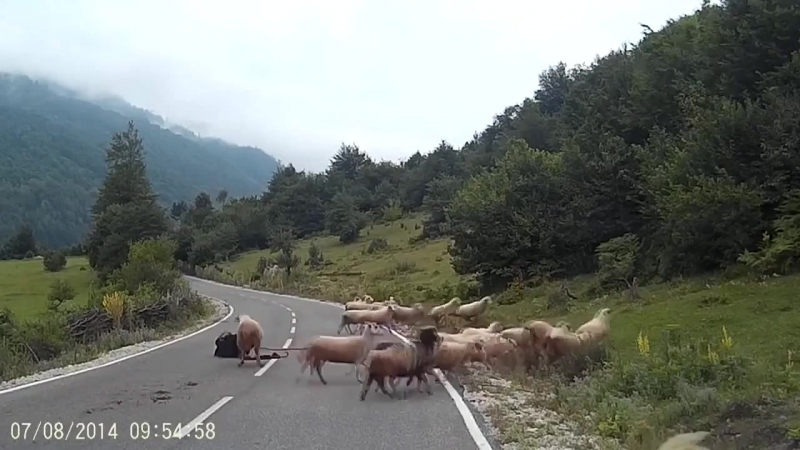 Рабы восстали против господина © видеожесть