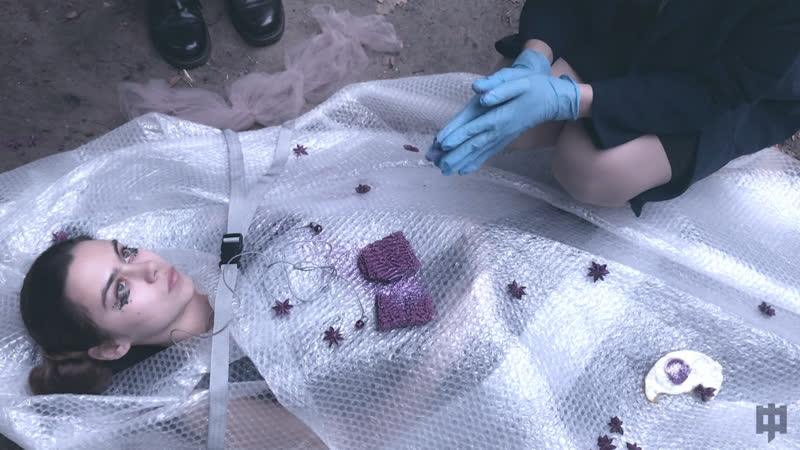 Foilar – самка гомосапиенса 2 0 (2019) [сниппет]