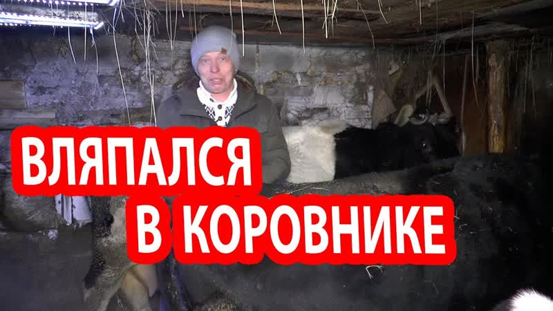 Деревенская баня из газоблока почти кирпичная печь