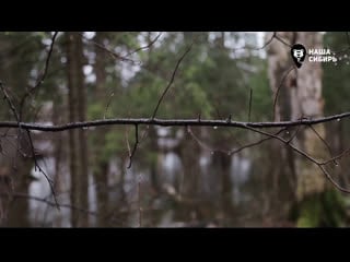 Live правый монитор