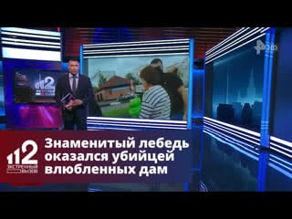 Бабушка устроила налет с громилами на клинику, где спасали ее кота
