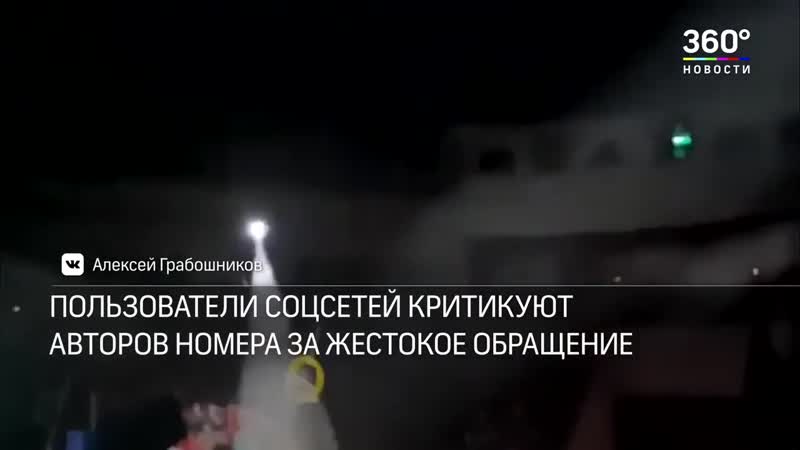 Цирковой бобёр описал зрителей из за жестокого обращения дрессировщиков