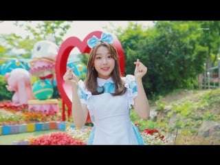 엘리스(elris) summer dream alice in wonderland