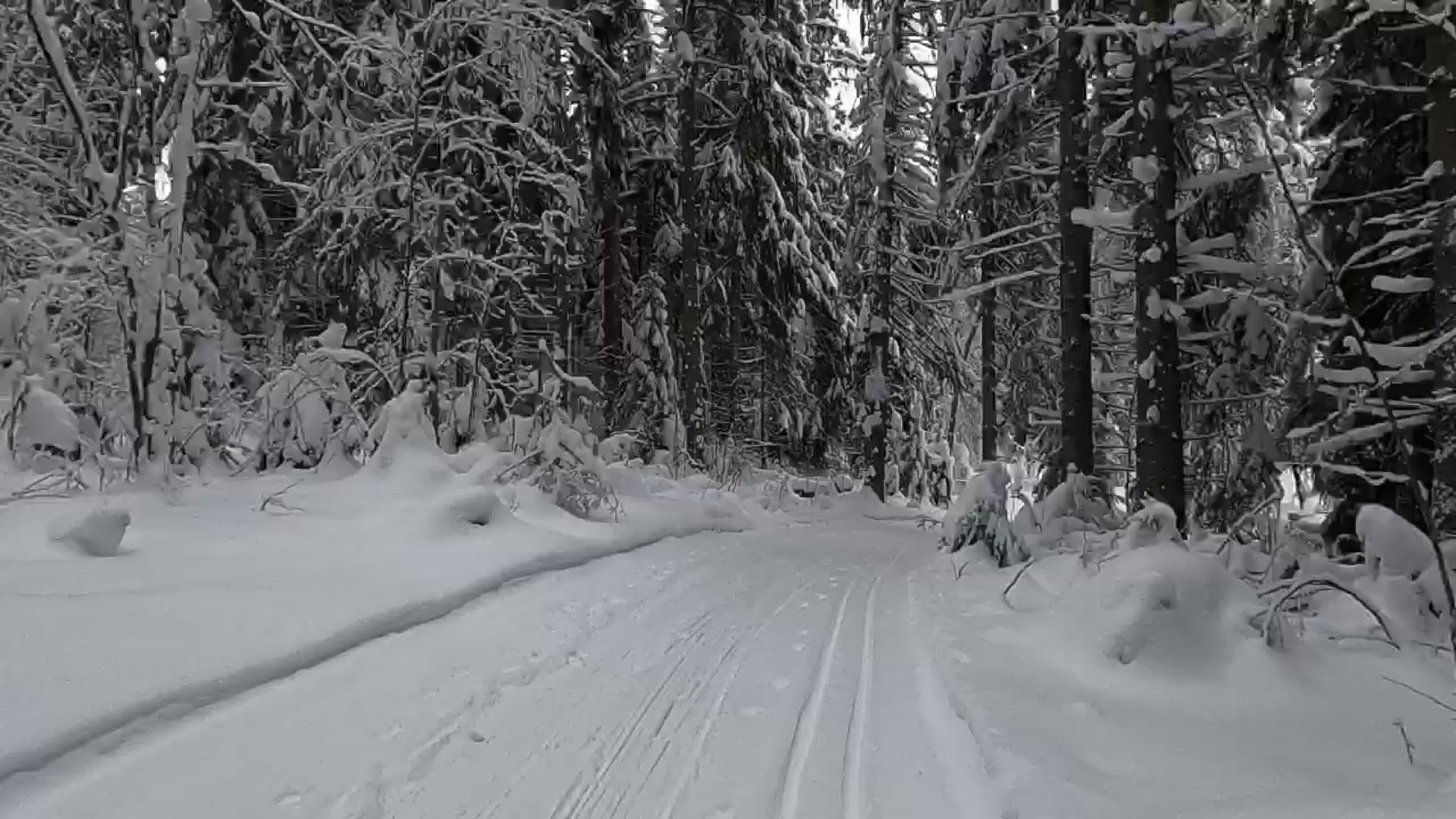 Видеозарисои наша трасса в гарболово 09 12 2023