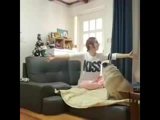 Ira initium insaniae est #237