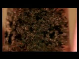 Смотреть всем кто хочет жить счастливо с начала и до конца!!!!!!!