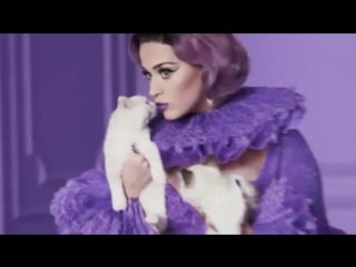 Рекламные ролики katy kat matte