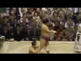 Подборка нокаутов в сумо