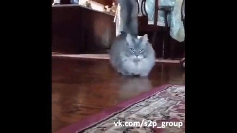 Ускорение porn video – Максимальное, но укороченное ускорение