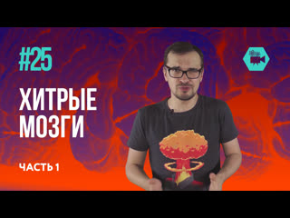 Хитрые мозги часть 1 (физтех science #25)