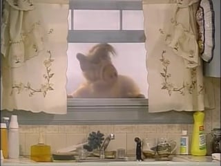 Alf quote season 4 episode 12 барбекю разгорелся