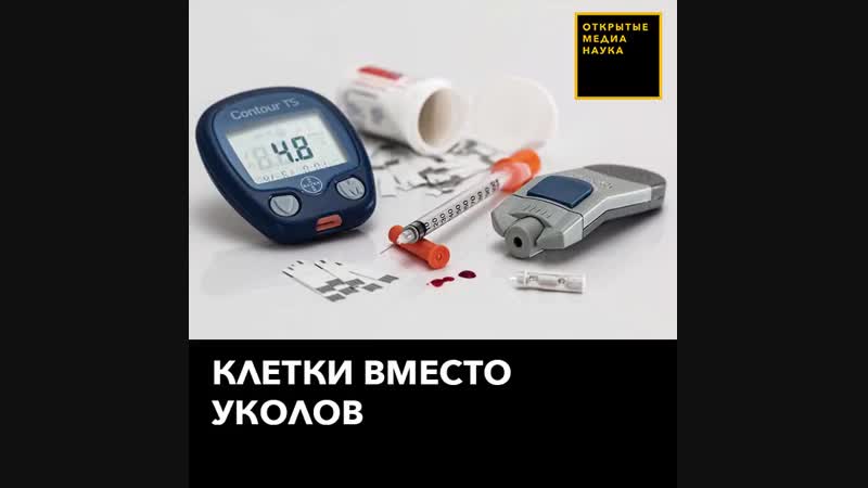 Клетки вырабатывающие инсулин