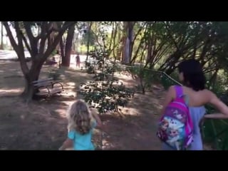 Даниэла фрейтас ►daniela freitas sorocaba sempre inovando! jacaré solto no parque natural chico mendes