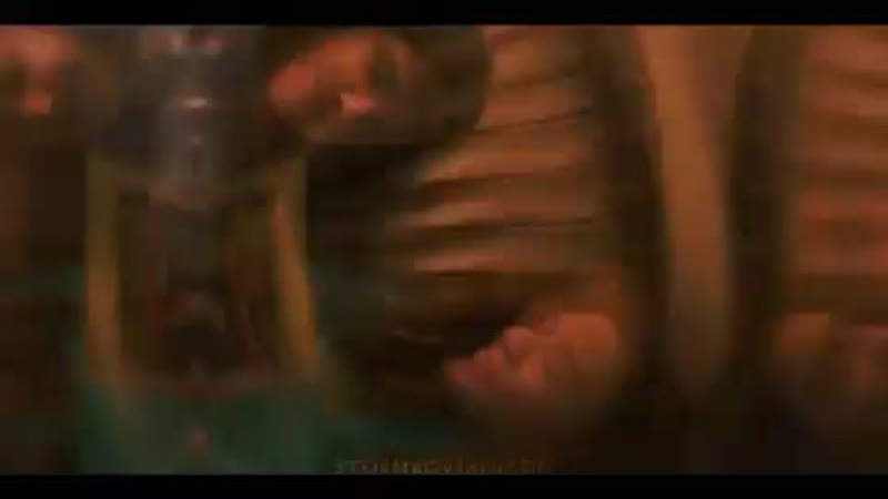 Eleven x max mayfield | vine