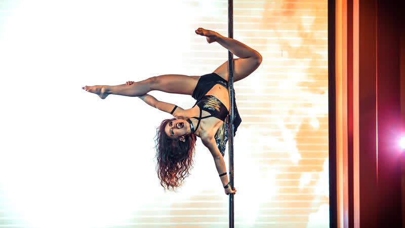 12 sinergy каталина бегман