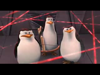 Пингвины из мадагаскара порно: 1005 видео в HD