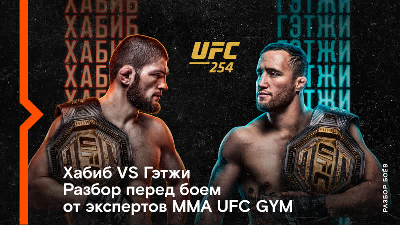 Спор года хабиб или гэтжи? разбор боя от экспертов mma ufc gym