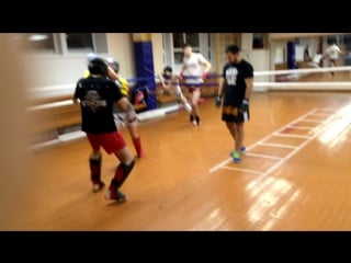 Ализаде vs новиков тайский бокс спарринги