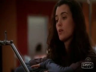Ncis that's the way i like it [tony/ziva]
