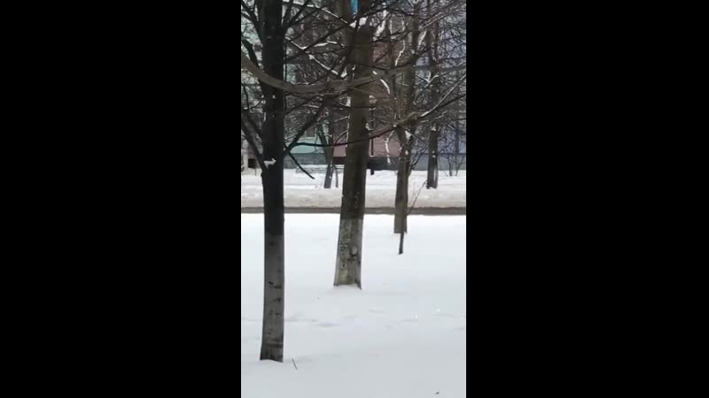 Утренняя пробежка без трусов