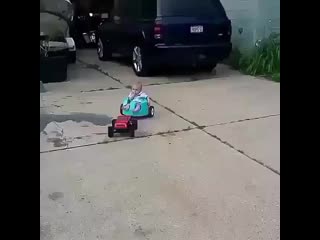 Detki video 20200702 21 mp4