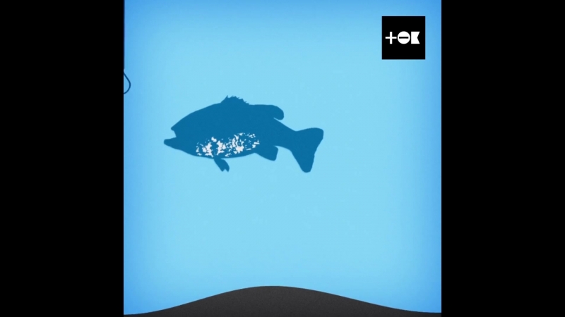 Бережіть природу!