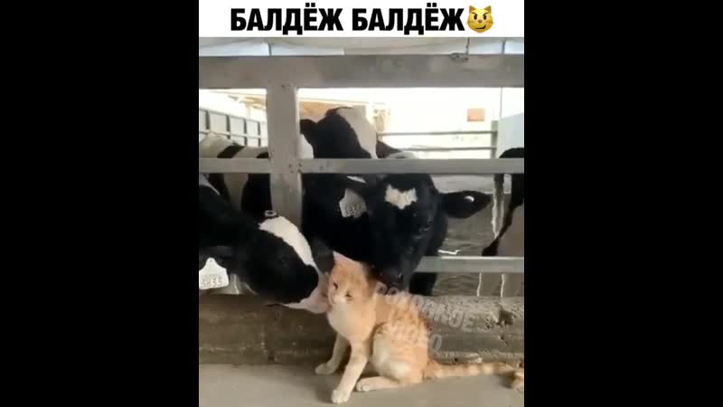 Мурка, хорошо ж тебе))
