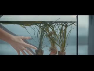 Иден дюкуран (eden ducourant) голая в клипе sweet babylon (2018)