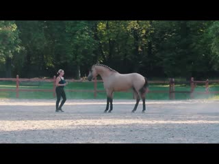 Alyssa pellei and flamenco