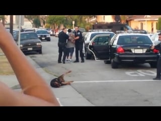 Abc7 ► поступок гнилого мусара [auebusinesscriminal]