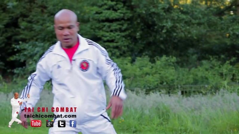 Tai chi chuan master using taiji combat lesson 4 porn the solar plexus