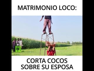 Matrimonio loco corta cocos sobre su esposa