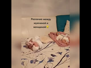 Таверна юмора