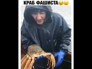 Краб в каске