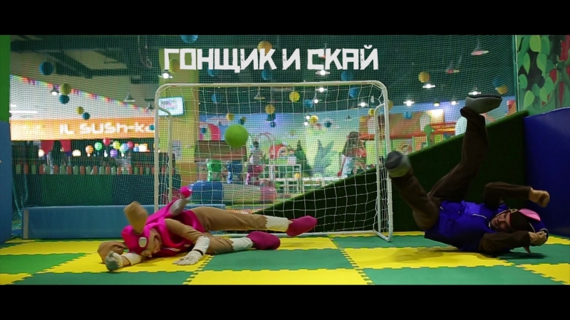 Гонщик и скай