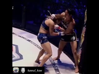 Ariane lipski fight