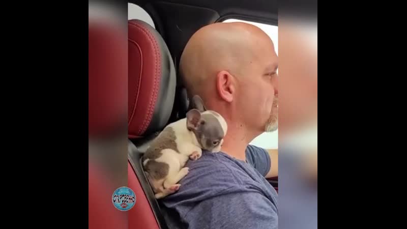 Как две капли! очень похожи друг на друга! классные ребята!