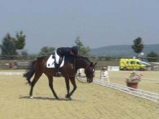 Eistel bettina aaron