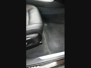 Live euroglass детейлинг