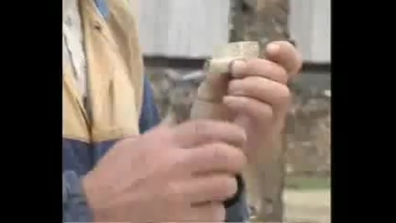 Там за синими горами