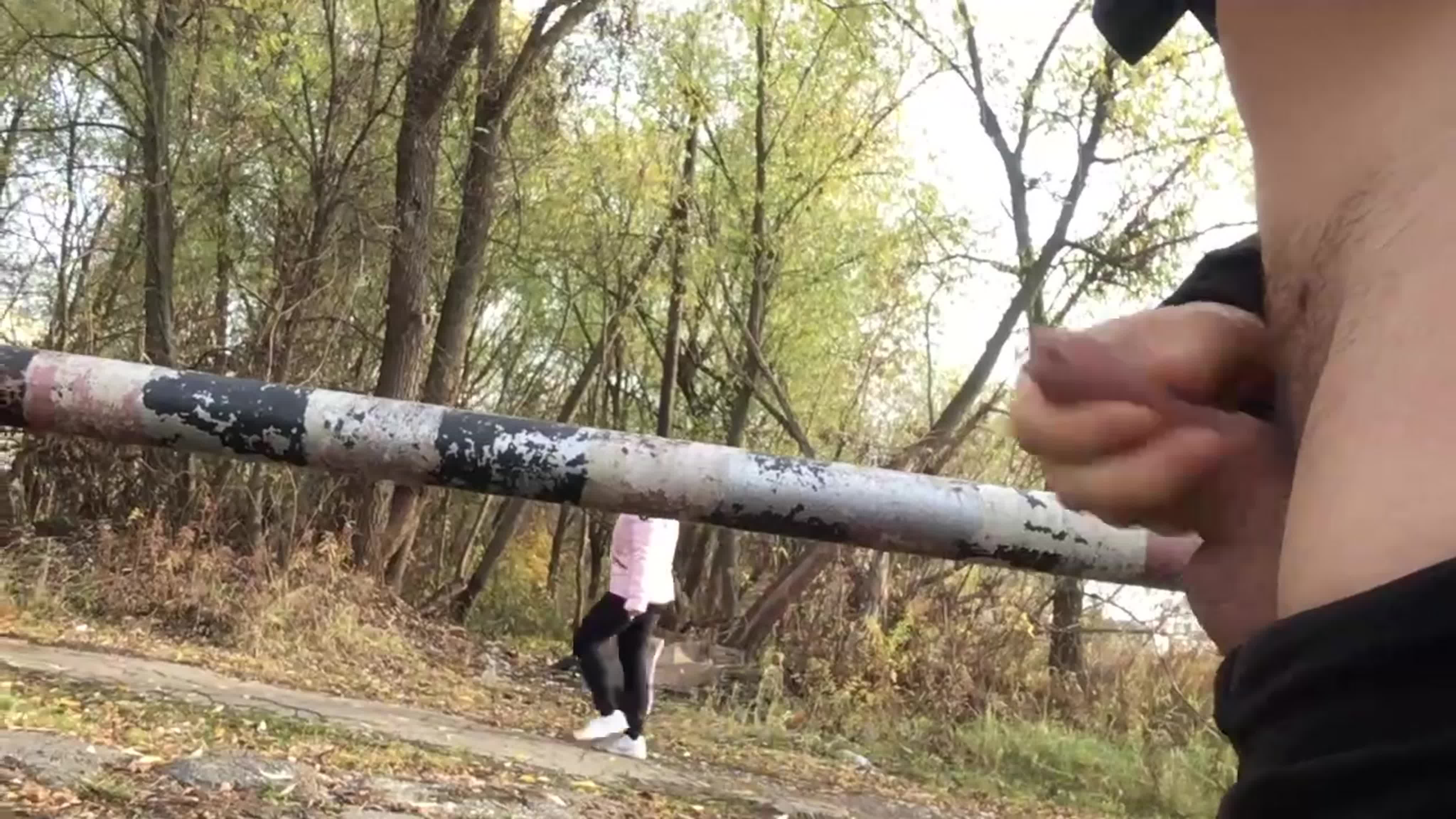 эксгиби 