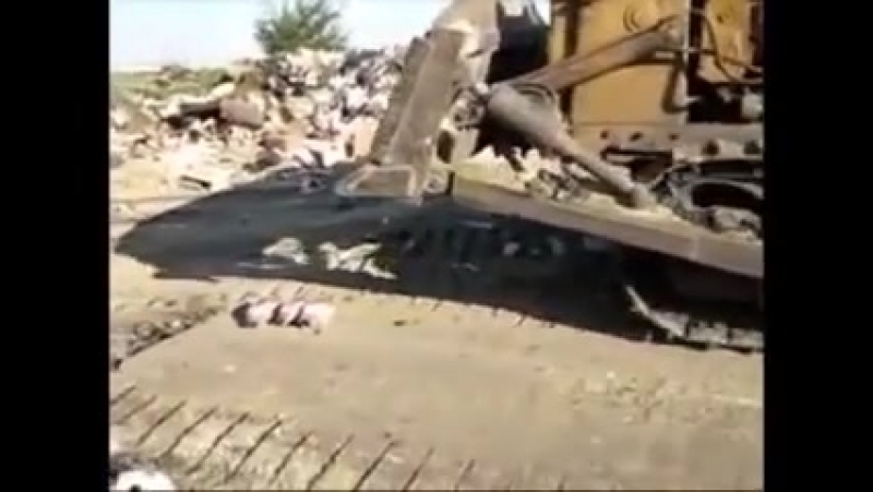 Уничтожение санкционных гусей
