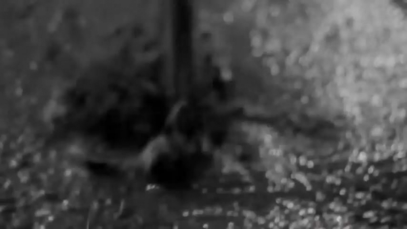 Ляпис трубецкой африка lyapis trubetskoy africa