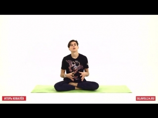 Sls принцип № 8 внимание в растяжке